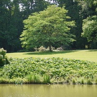 Photo de belgique - Le jardin botanique de Meise